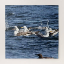 オーシャンズのシーグルアクリルジグソーパズル