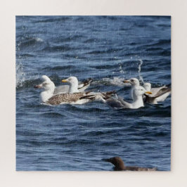 オーシャンズのシーグルアクリルジグソーパズル ジグソーパズル