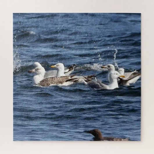 オーシャンズのシーグルアクリルジグソーパズル ジグソーパズル (縦)