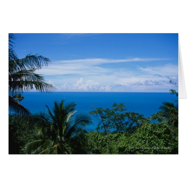 オーシャンビュー (正面横)