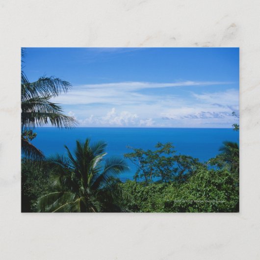 オーシャンビュー ポストカード (正面)