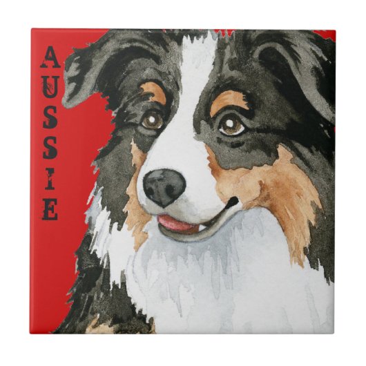 オーシー・カラー・ブロック タイル (正面)