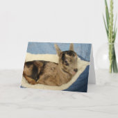 オージーというボトルヤギ カード (正面)