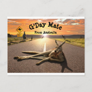 オージーカンガルー葉書 ポストカード