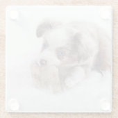 オージーレッドメルルパップ ガラスコースター (裏面)