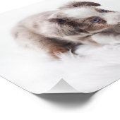 オージーレッドメルルパップ フォトプリント            (角)