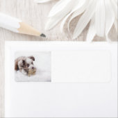 オージーレッドメルルパップ ラベル (インサイチュ)