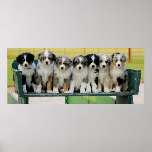 オージーワゴンおもしろい ポスター (正面)