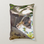 オースジーの遠くにある木の林の登り口を見るコアラ アクセントクッション (正面(垂直))