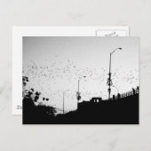 オースティンのこうもり ポストカード (正面/裏面)