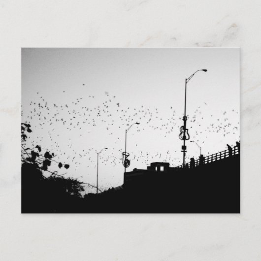 オースティンのこうもり ポストカード (正面)