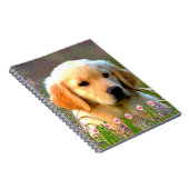 オースティンの金ラブラドールの子犬 ノートブック (右側)