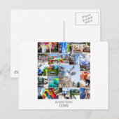 オースティンテキサス州牛 ポストカード (正面/裏面)