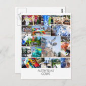 オースティンテキサス州牛 ポストカード (正面/裏面)