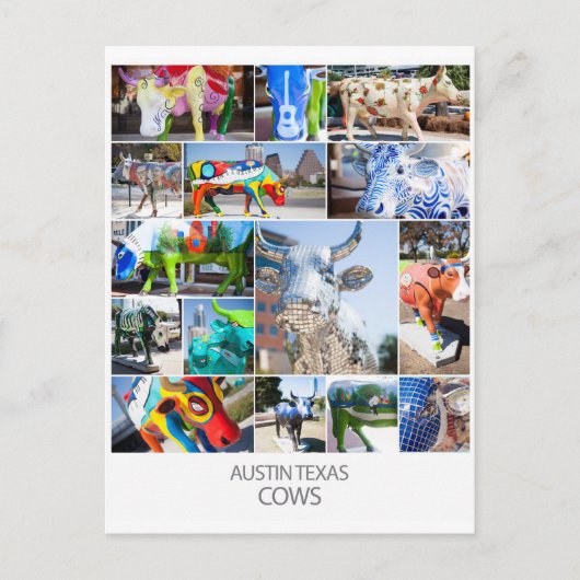 オースティンテキサス州牛 ポストカード (正面)