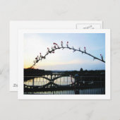 オースティンテキサス州 ポストカード (正面/裏面)