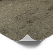 オースティンヒーリー3000 ポスター (角)