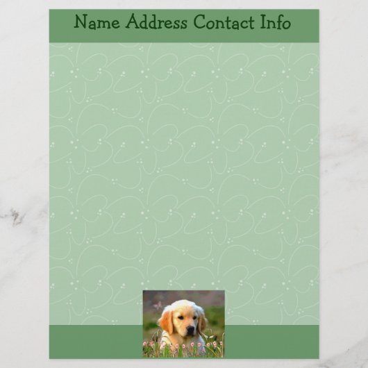 オースティン金ラブラドール レターヘッド (正面)