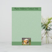 オースティン金ラブラドール レターヘッド (スタンド正面)