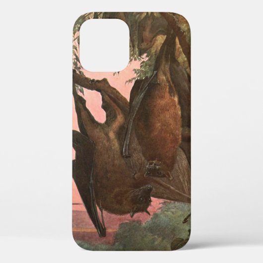 オーステンによるフライング・フォックスの蝙蝠、ヴィンテージの野生動物 Case-Mate iPhoneケース (裏面)