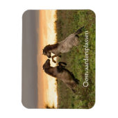 オーストバルダースプラッセンマグネットで野生の馬を突き刺す マグネット (縦)