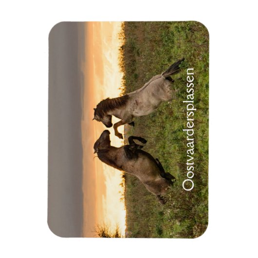 オーストバルダースプラッセンマグネットで野生の馬を突き刺す マグネット (縦)