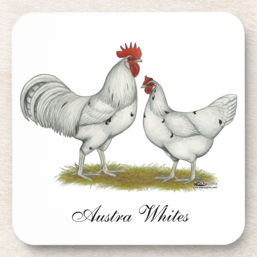 オーストラホワイトチキン コースター (正面)