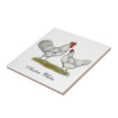 オーストラホワイトチキン タイル (側面)