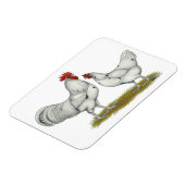 オーストラホワイトチキン マグネット (左側)