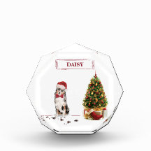 オーストラリアおもしろいの羊飼いクリスマス犬