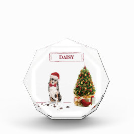 オーストラリアおもしろいの羊飼いクリスマス犬 フォトブロック