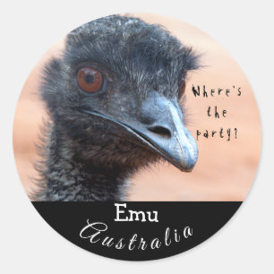 オーストラリアおもしろいのEMUのクローズアップ ラウンドシール