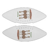 オーストラリアおもしろいのemuトリオ漫画イラストレーション アメリカンフットボール (パネル)