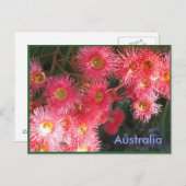 オーストラリアからの挨拶 ポストカード (正面/裏面)