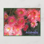 オーストラリアからの挨拶 ポストカード (正面)