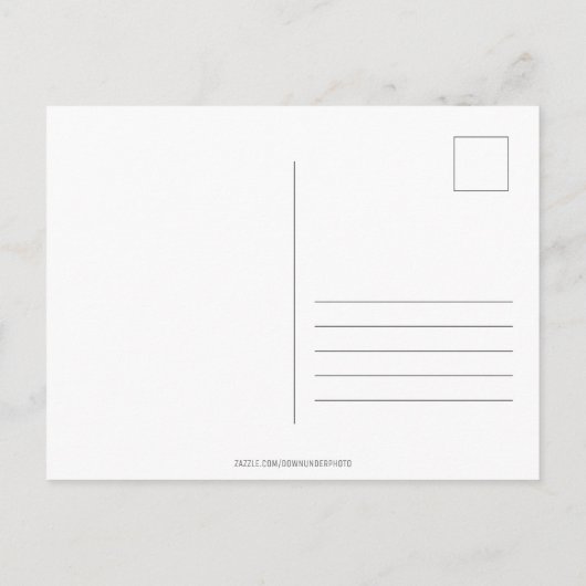 オーストラリアから愛を込めて シドニー・オペラハウス シドニー・ハーバー・ブリッジ ポストカード (裏面)