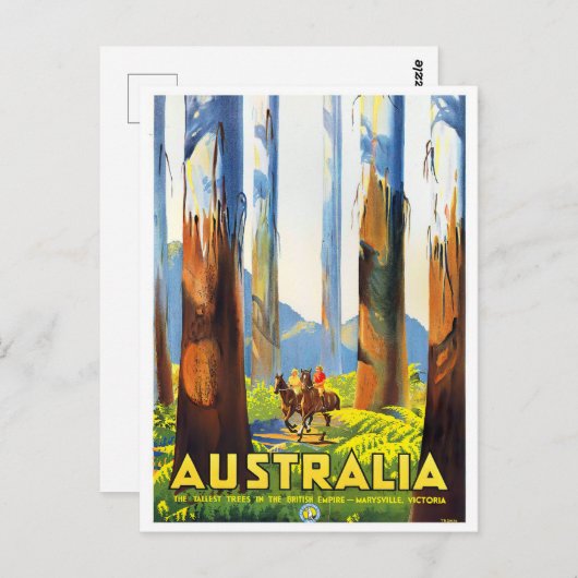 オーストラリアで最も高い木のヴィンテージ旅行 ポストカード (正面/裏面)