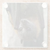 オーストラリアのこうもり ガラスコースター (裏面)