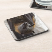 オーストラリアのこうもり コースター (左側)