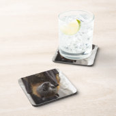 オーストラリアのこうもり コースター (右側)