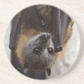 オーストラリアのこうもり コースター (正面)