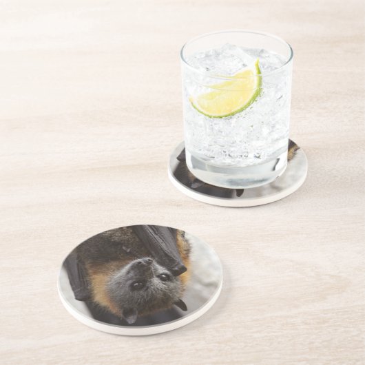 オーストラリアのこうもり コースター (側面)