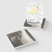 オーストラリアのこうもり ストーンコースター (横)