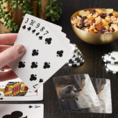 オーストラリアのこうもり トランプ (インサイチュ)