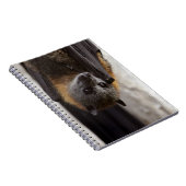 オーストラリアのこうもり ノートブック (右側)