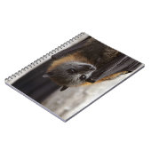 オーストラリアのこうもり ノートブック (左側)