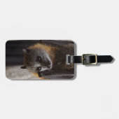 オーストラリアのこうもり ラゲッジタグ (正面横)