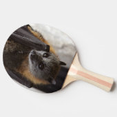 オーストラリアのこうもり 卓球ラケット (横)