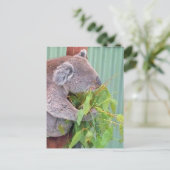 オーストラリアのはがき ポストカード (スタンド正面)