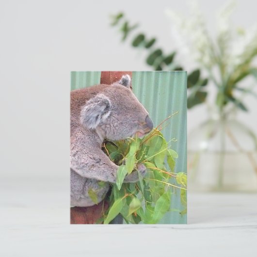 オーストラリアのはがき ポストカード (スタンド正面)